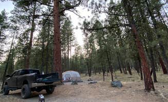 Amanda B.'s photo at Yellowjacket near Seneca, OR