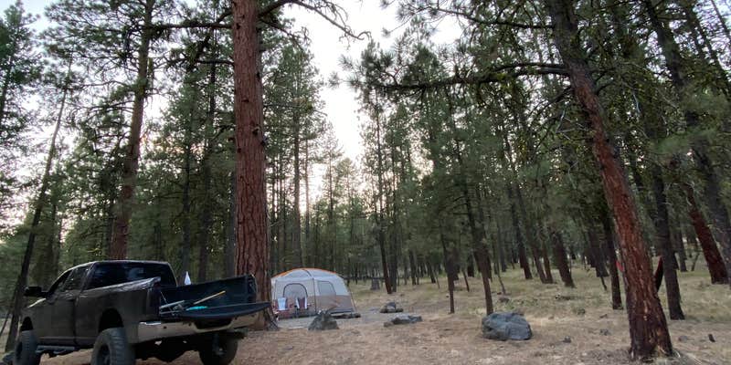 Camper submitted image from Yellowjacket