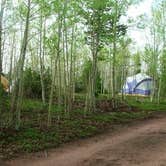 Review photo of Rampart Range Recreation Area by Erik S., September 7, 2020