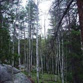 Review photo of Rampart Range Recreation Area by Erik S., September 7, 2020