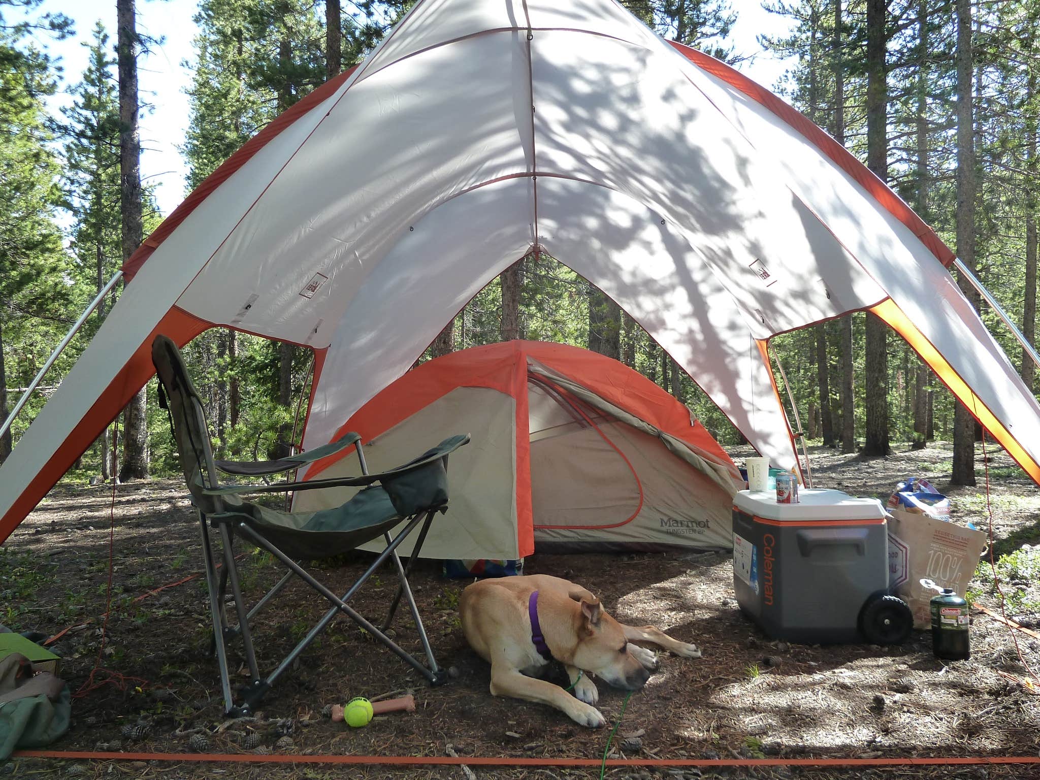 Erik S.'s photo of camping with pets at Rampart Range Recreation Area near Foxfield, CO