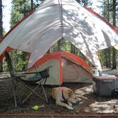 Review photo of Rampart Range Recreation Area by Erik S., September 7, 2020