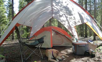 Erik S.'s photo at Rampart Range Recreation Area near Littleton, CO