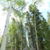 Review photo of Rampart Range Recreation Area by Erik S., September 7, 2020