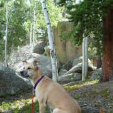 Review photo of Rampart Range Recreation Area by Erik S., September 7, 2020