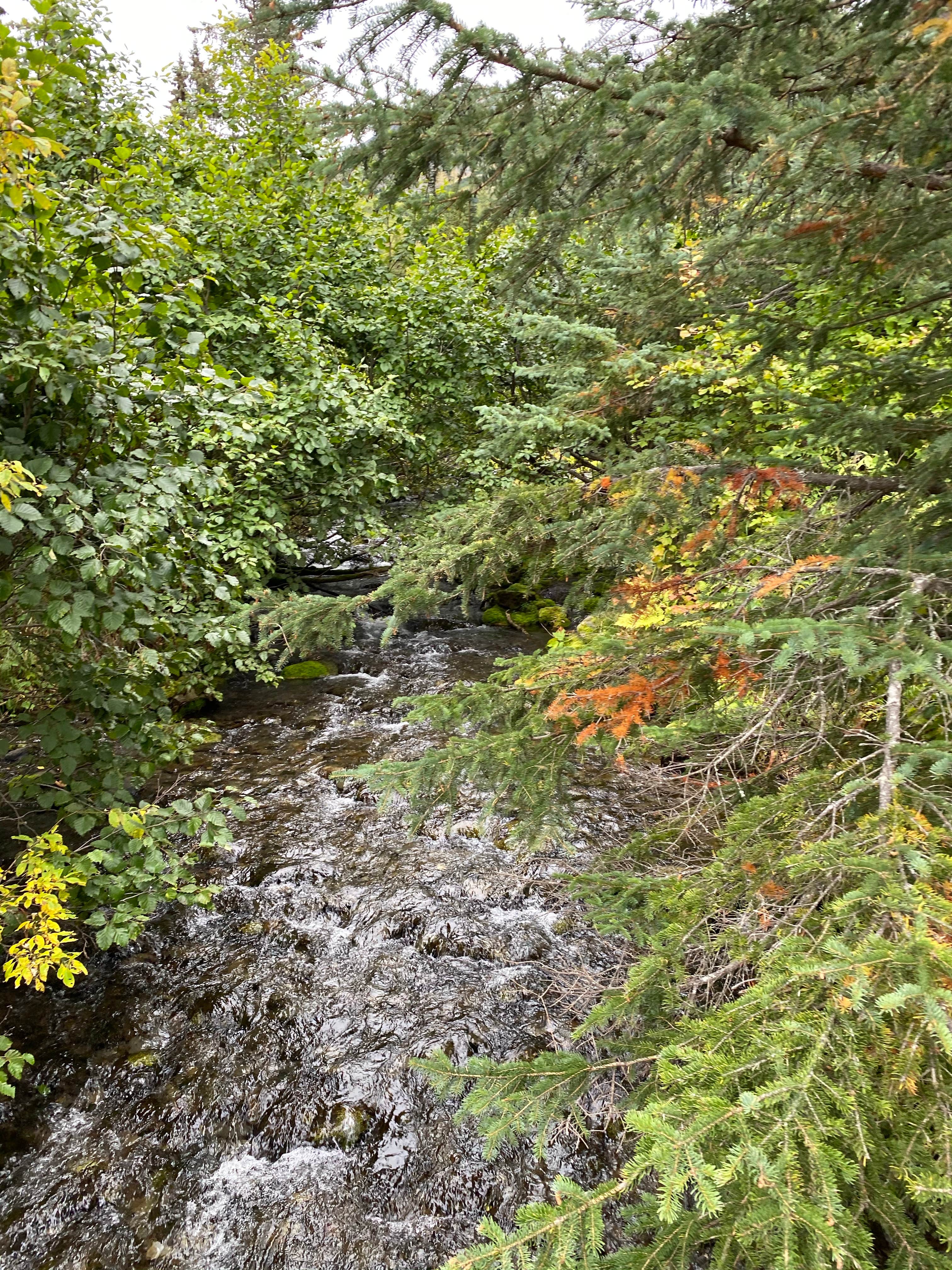 Camper submitted image from Coeur D'Alene Campground - 2