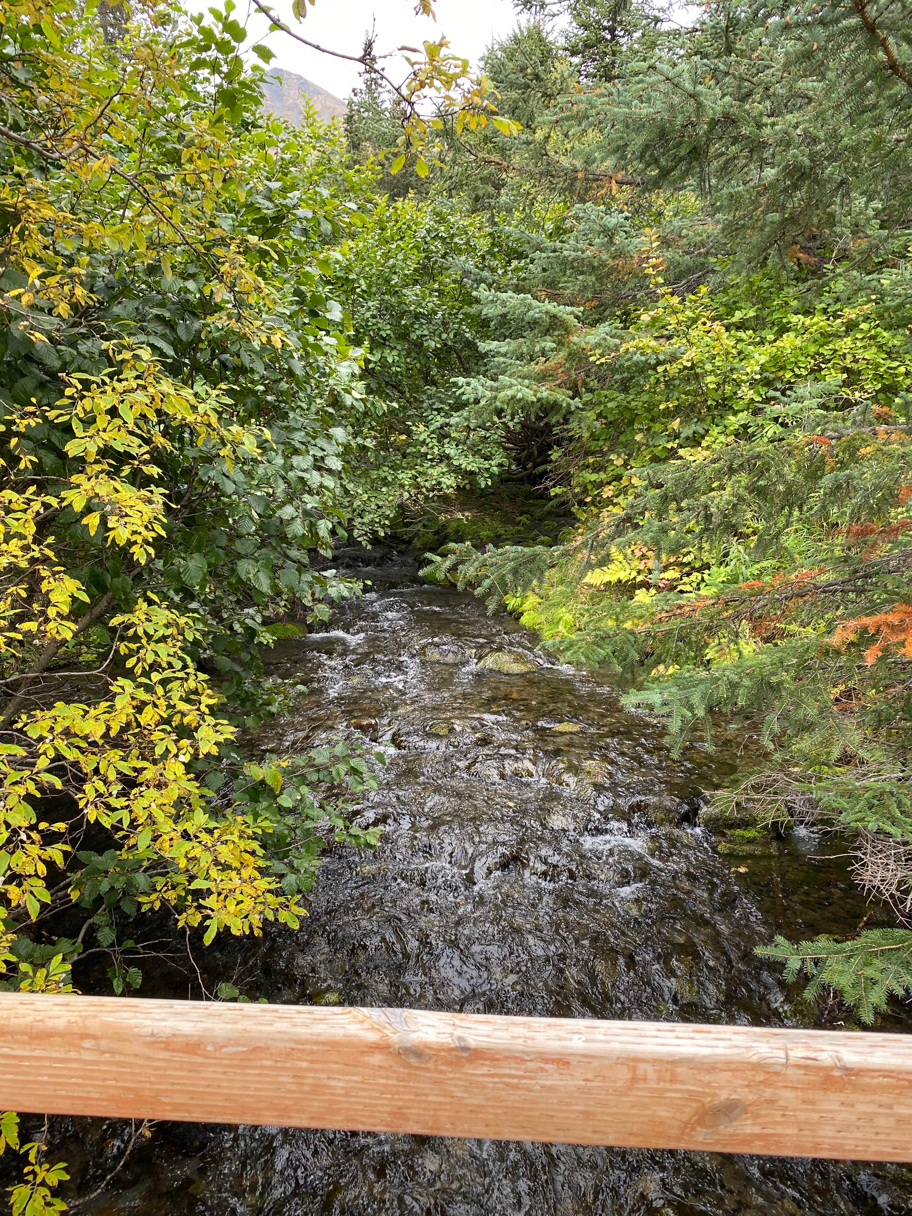 Camper-submitted photo at Coeur D'Alene Campground near Anchorage, AK