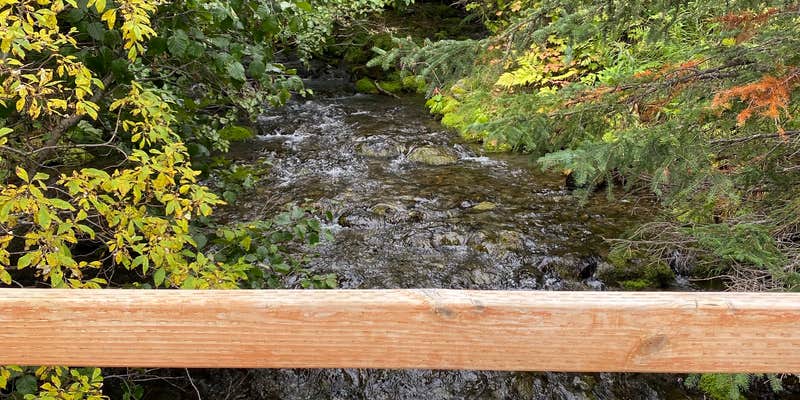 Camper submitted image from Coeur D'Alene Campground