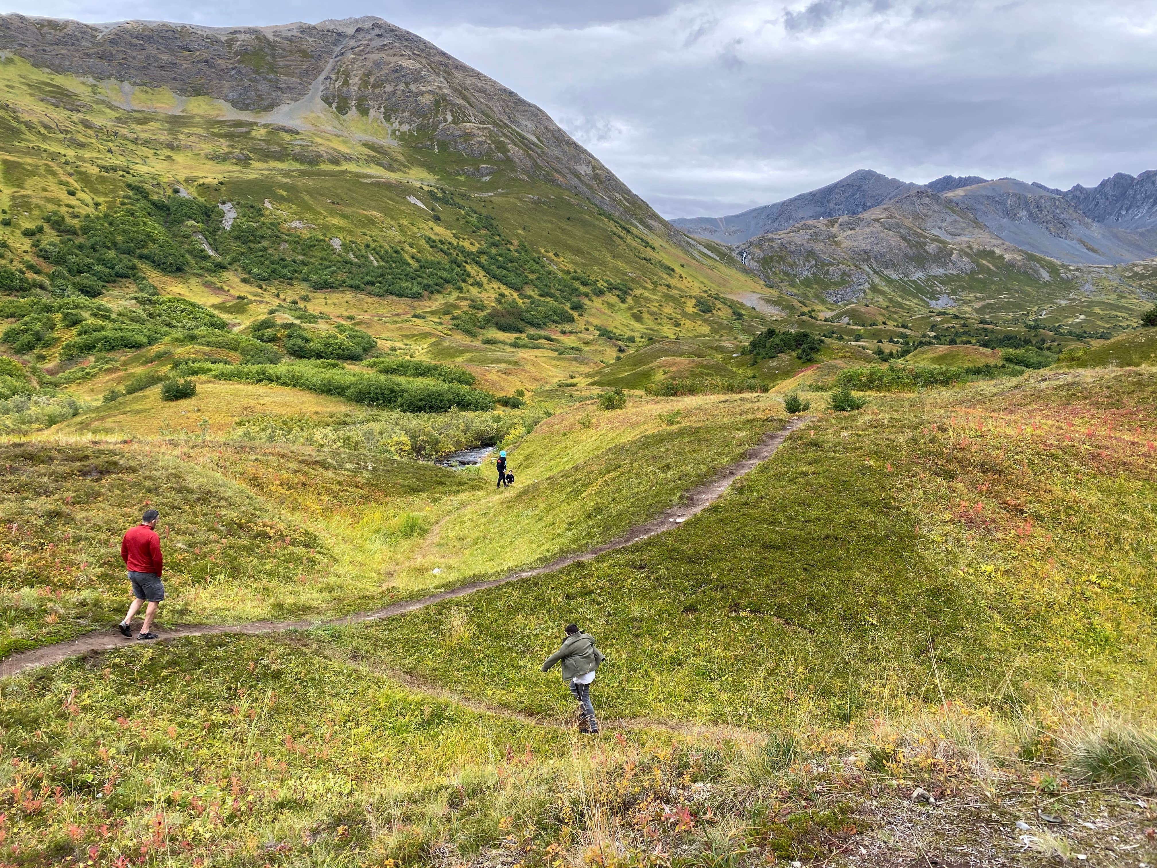 Camper submitted image from Hope Alaska Backcountry Sites - 5