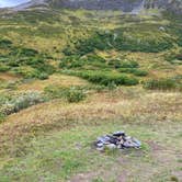 Review photo of Hope Alaska Backcountry Sites by Tanya B., September 7, 2020