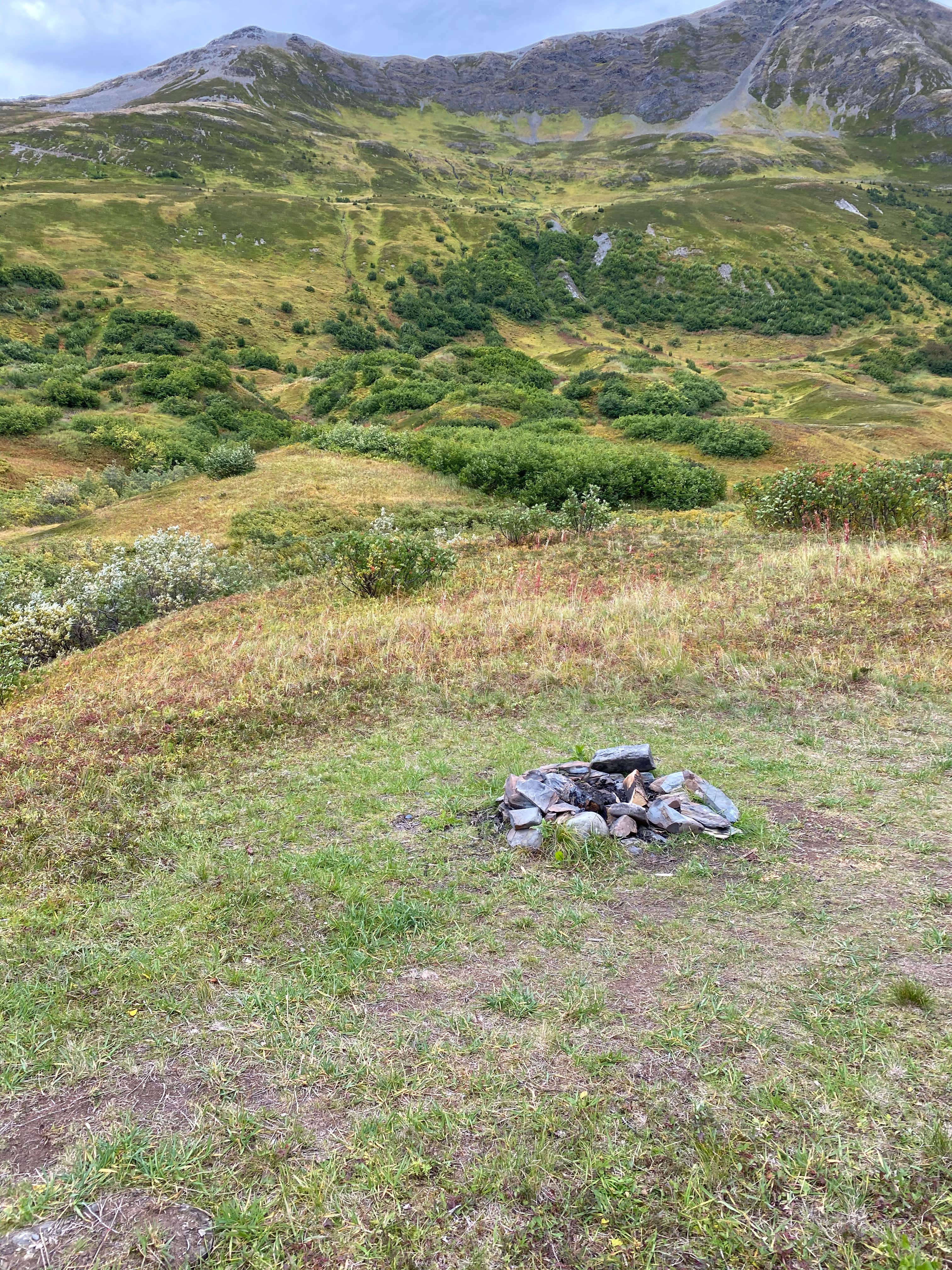 Camper submitted image from Hope Alaska Backcountry Sites - 1