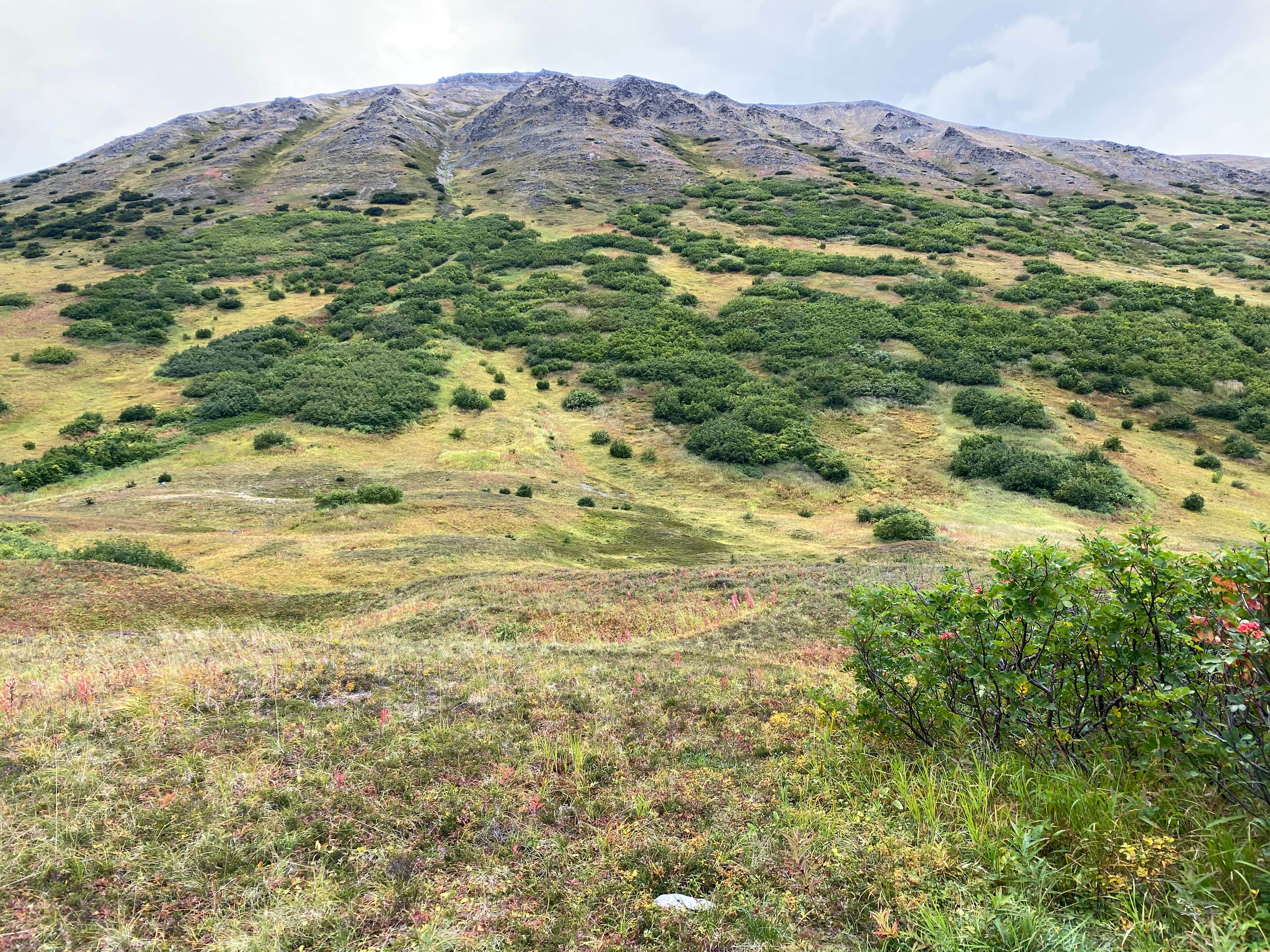 Camper-submitted photo at Hope Alaska Backcountry Sites near Anchorage, AK