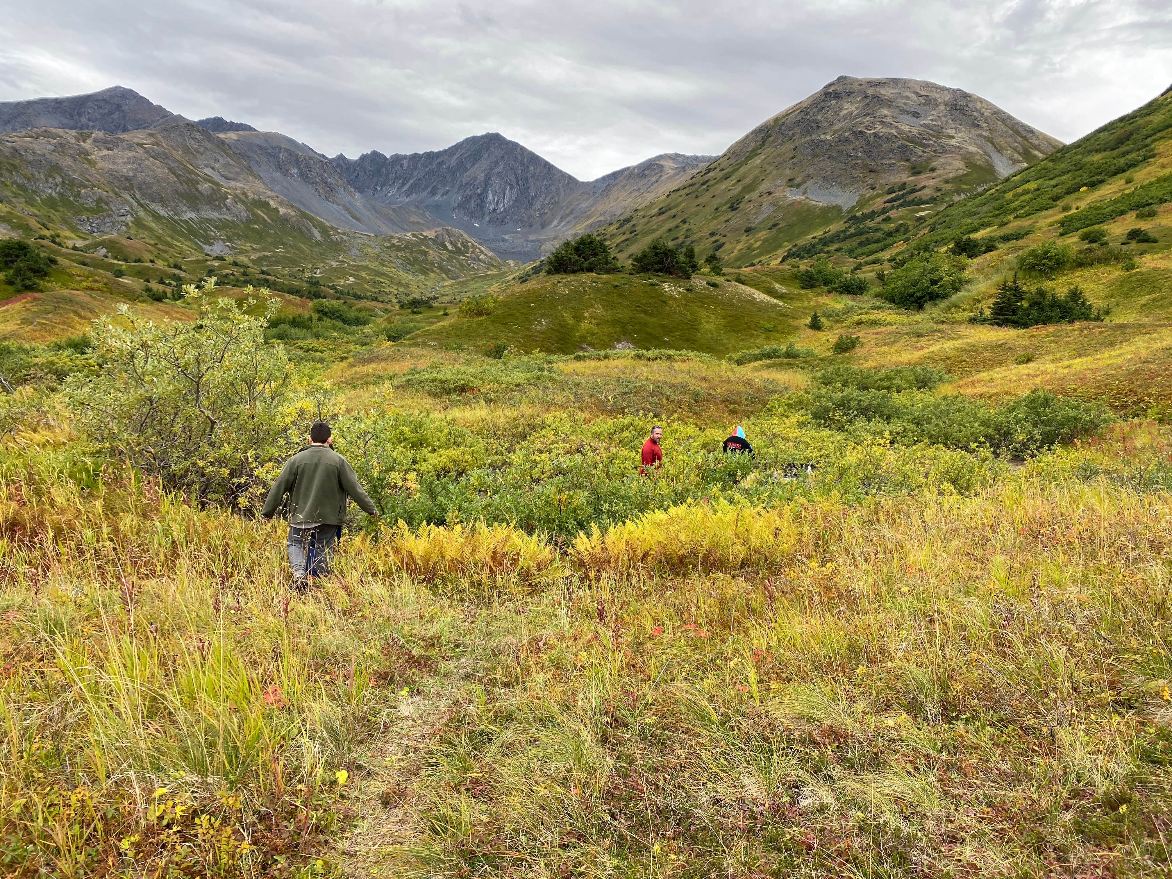 Camper-submitted photo at Hope Alaska Backcountry Sites near Anchorage, AK