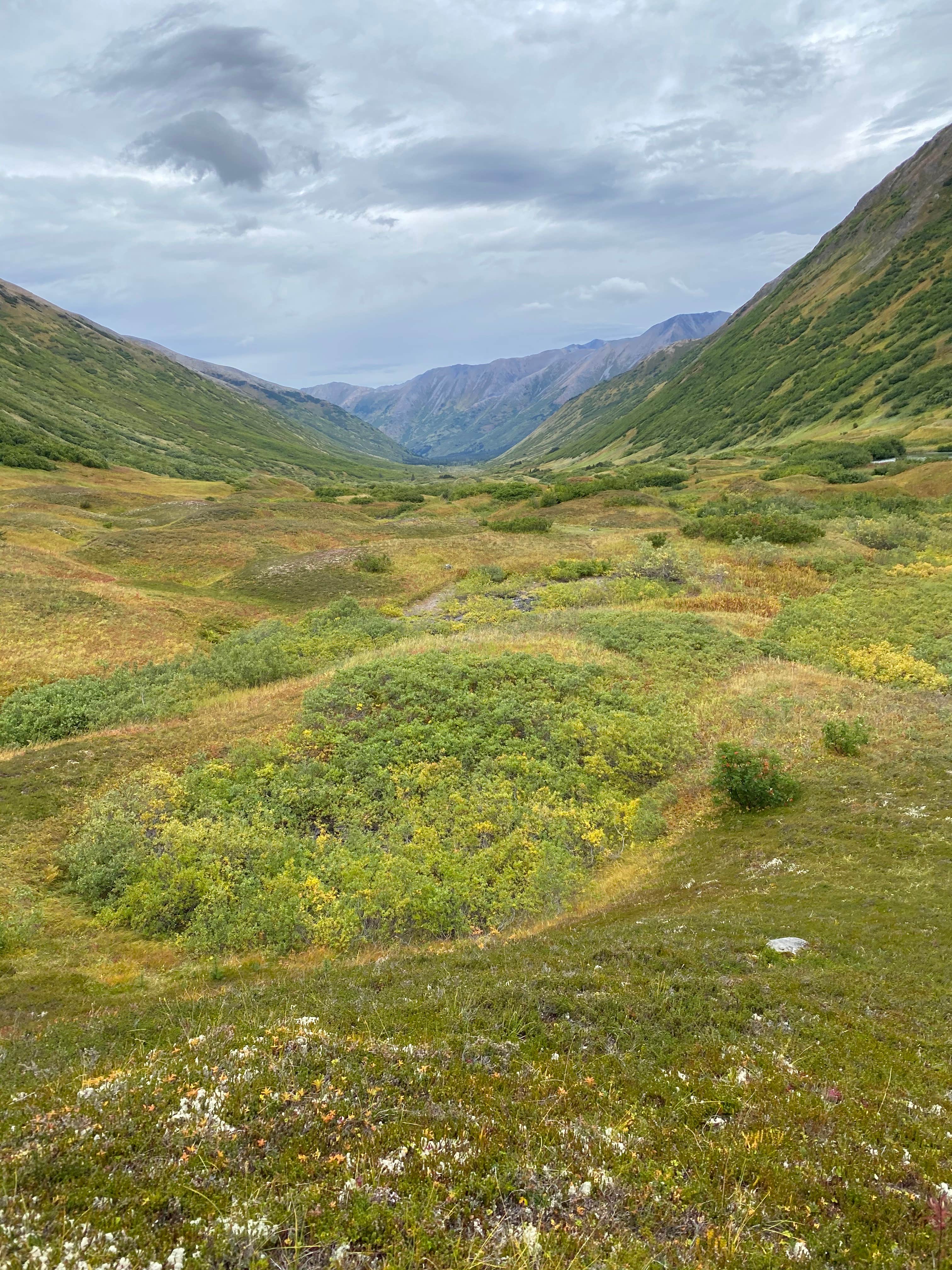 Camper-submitted photo at Hope Alaska Backcountry Sites near Anchorage, AK