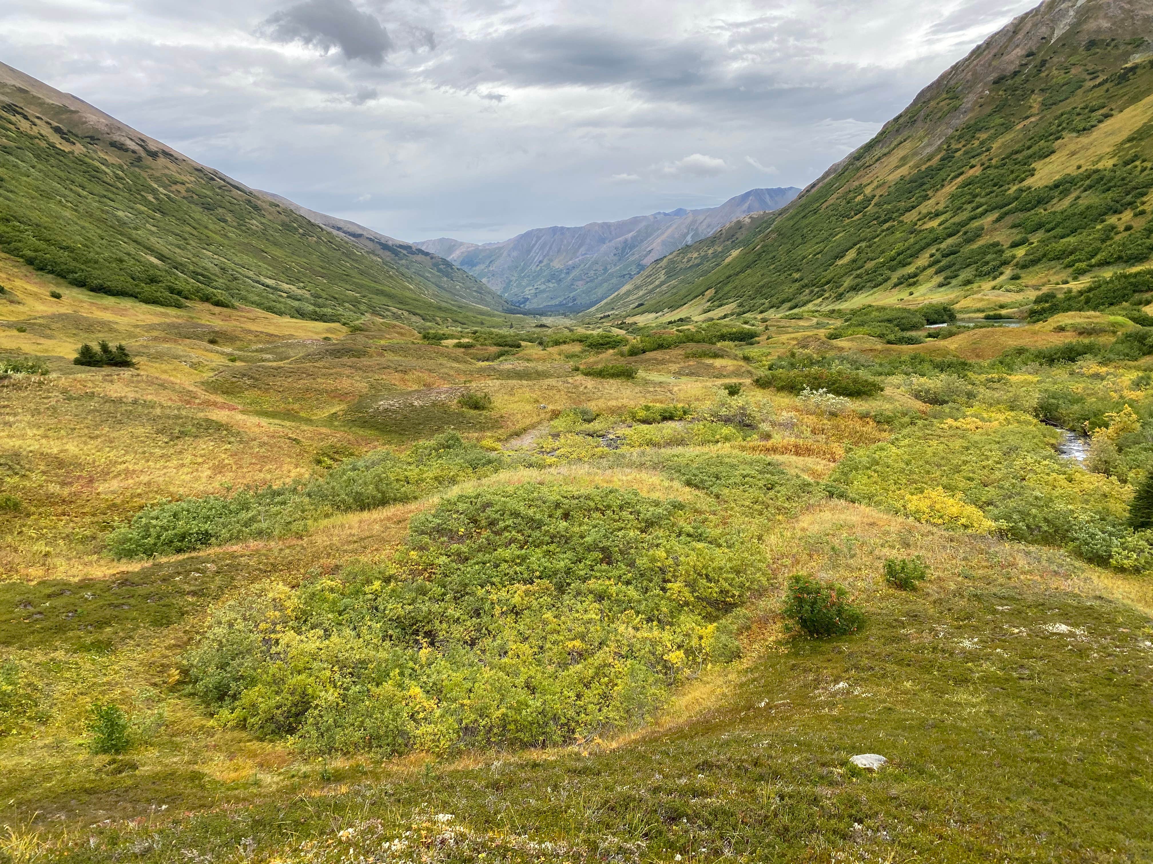 Camper-submitted photo at Hope Alaska Backcountry Sites near Anchorage, AK