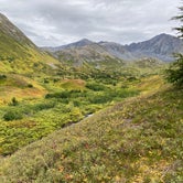 Review photo of Hope Alaska Backcountry Sites by Tanya B., September 7, 2020