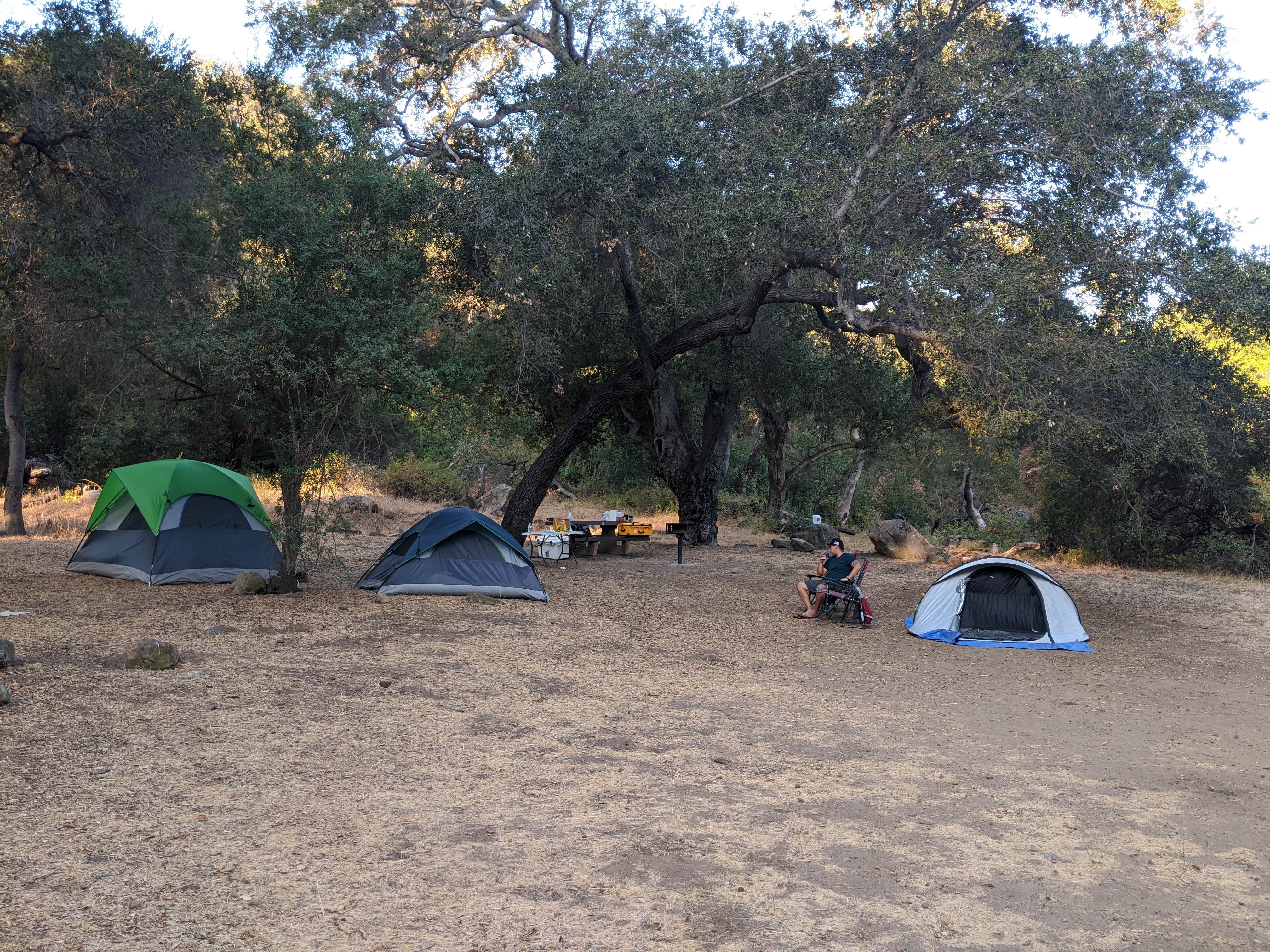 Camper submitted image from Fremont Campground - 5