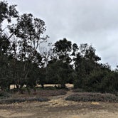 Review photo of San Mateo Campground — San Onofre State Beach by Chanel C., May 14, 2018