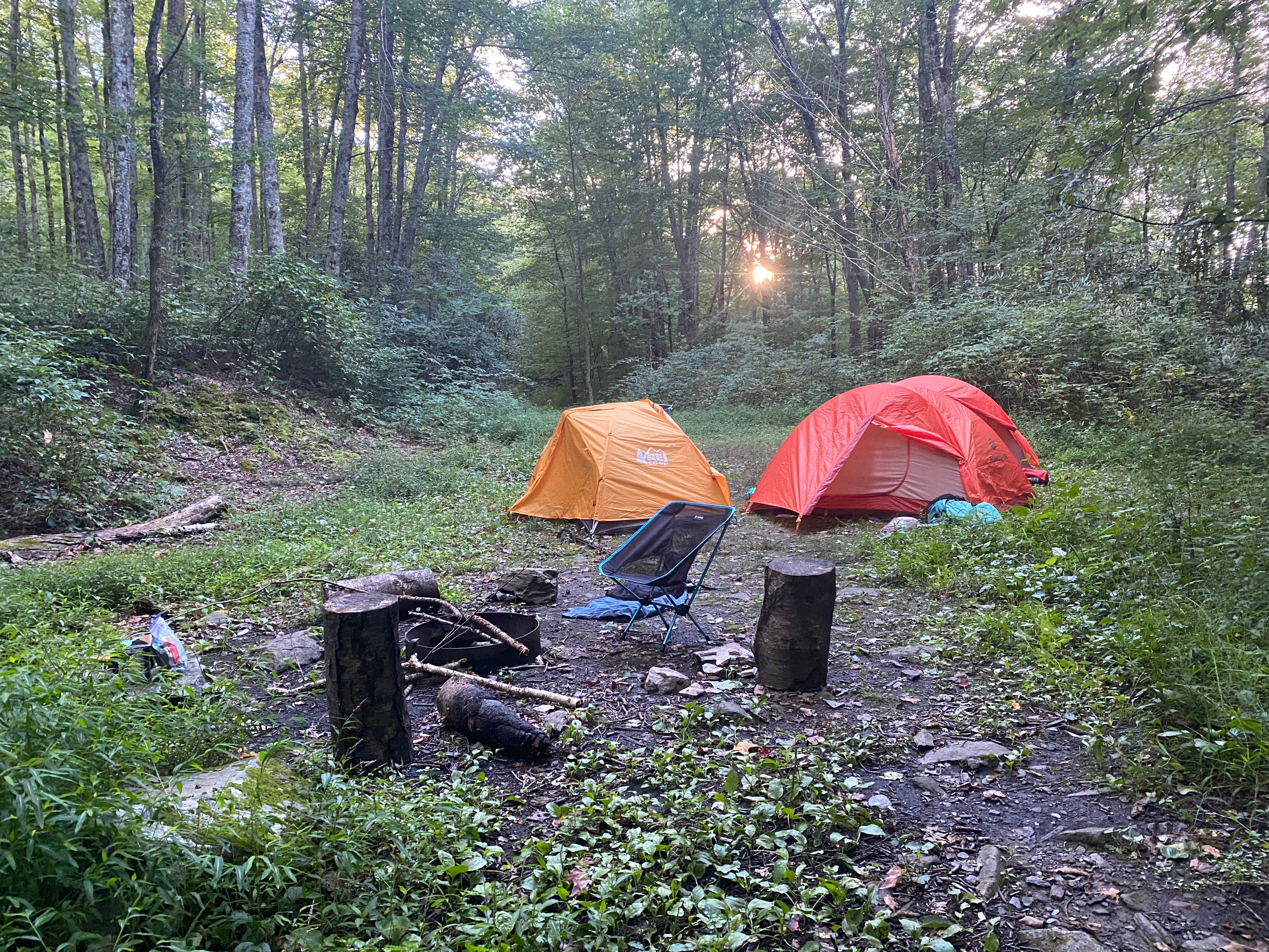Carissa D.'s photo of tent camping at 28 Marks Cove near Bryson City, NC