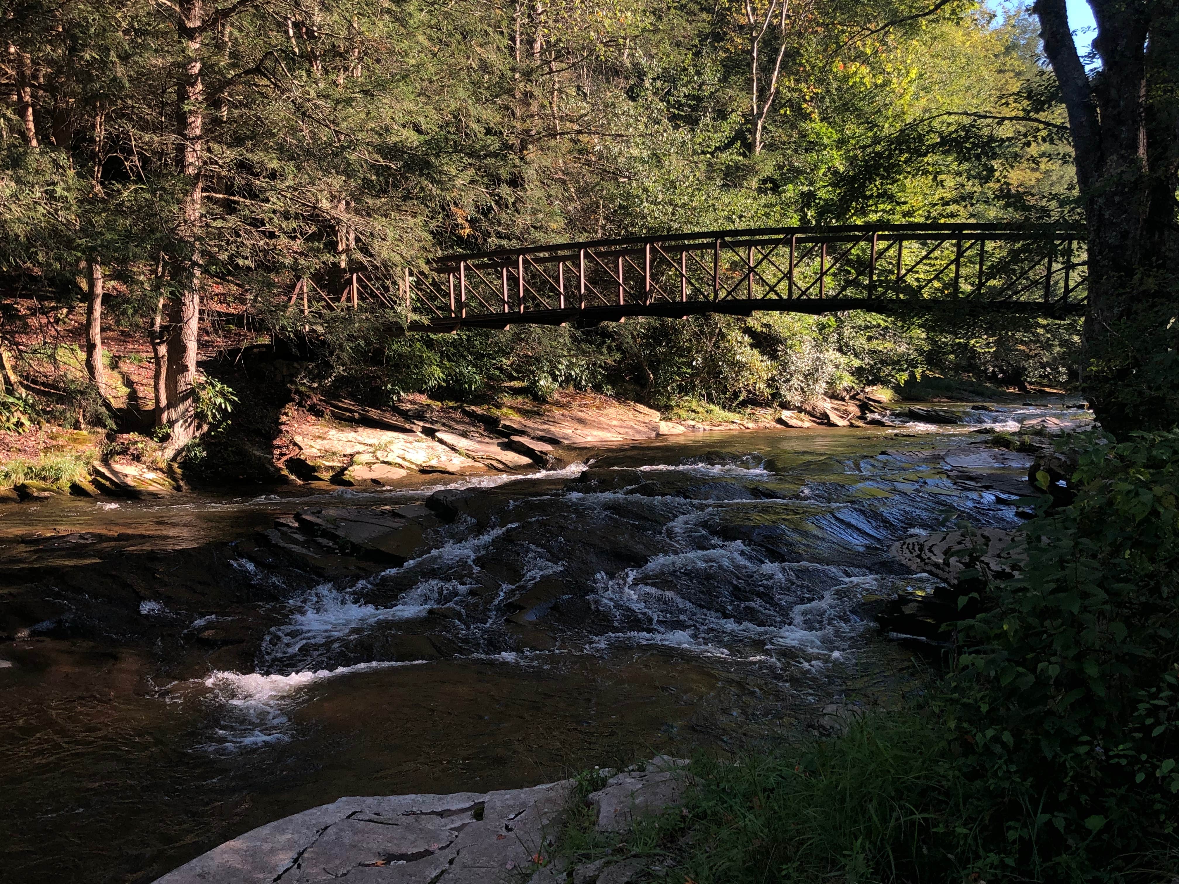 Camper-submitted photo at Gandy Creek Dispersed Camping near Glady, WV