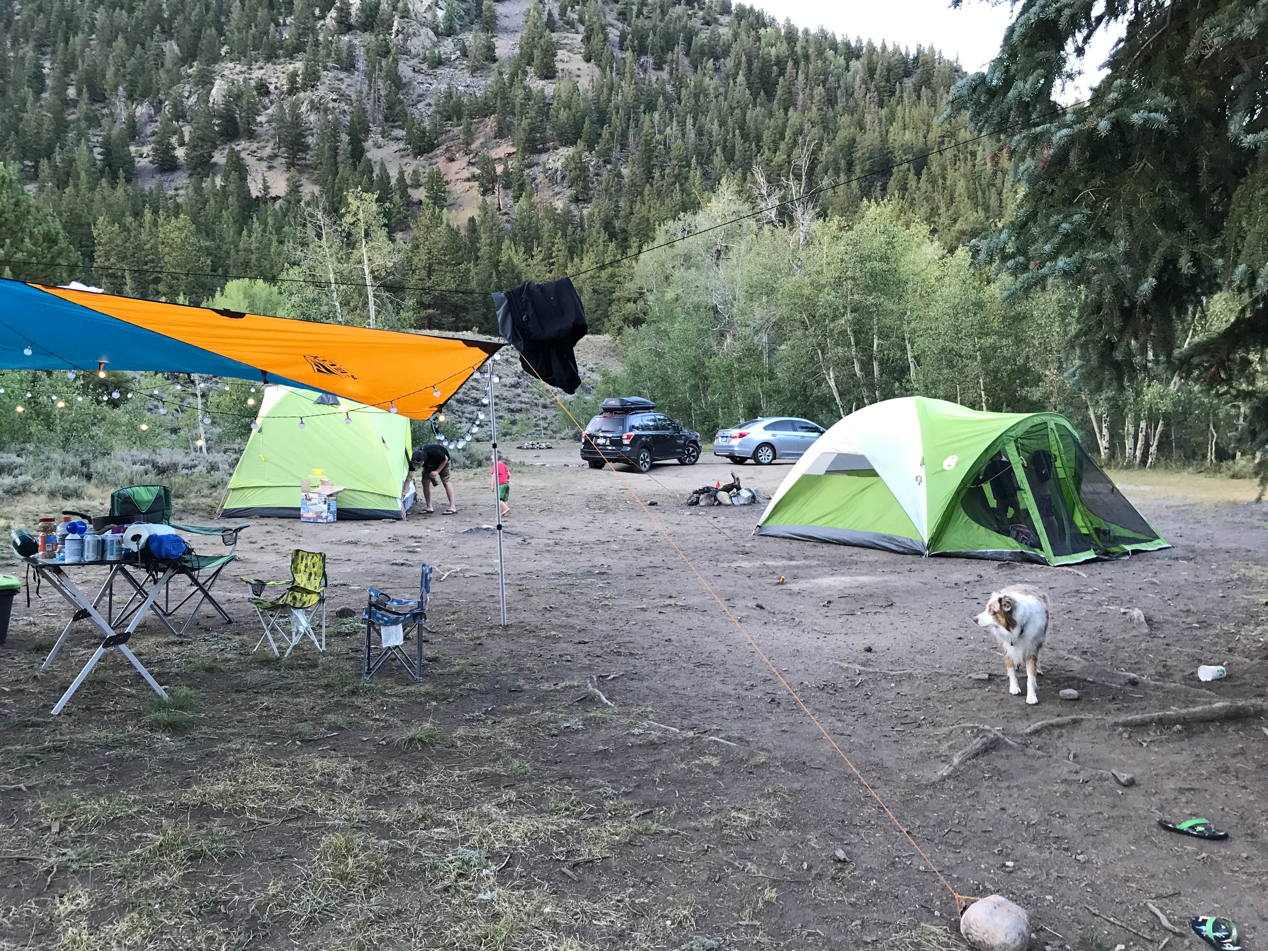 amanda L.'s photo of tent camping at Chaffee County Road 390 Dispersed near Fairplay, CO