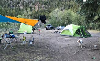 amanda L.'s photo of tent camping at Chaffee County Road 390 Dispersed in Colorado