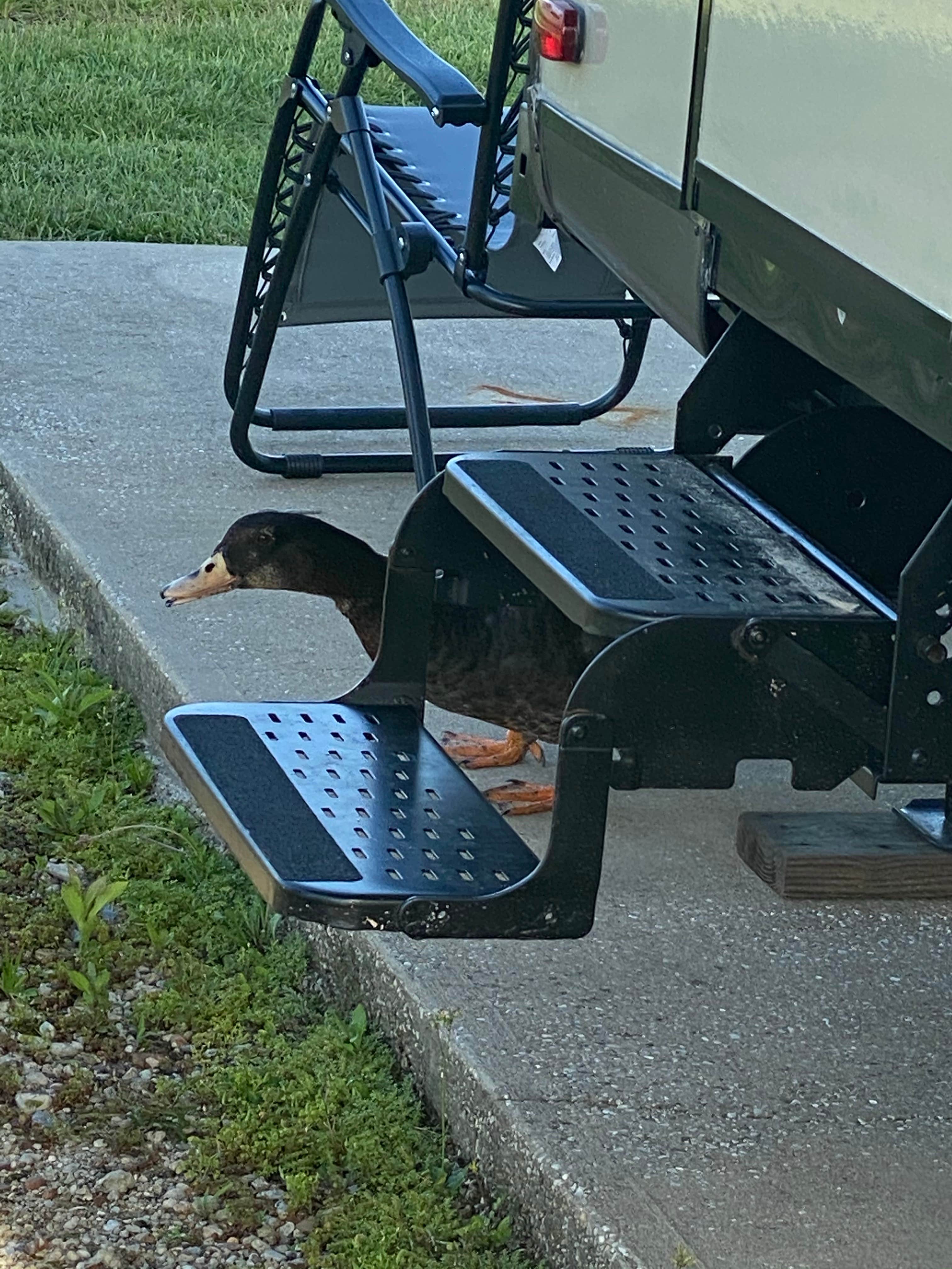 Camper-submitted photo at Unhitched Foley near Fairhope, AL