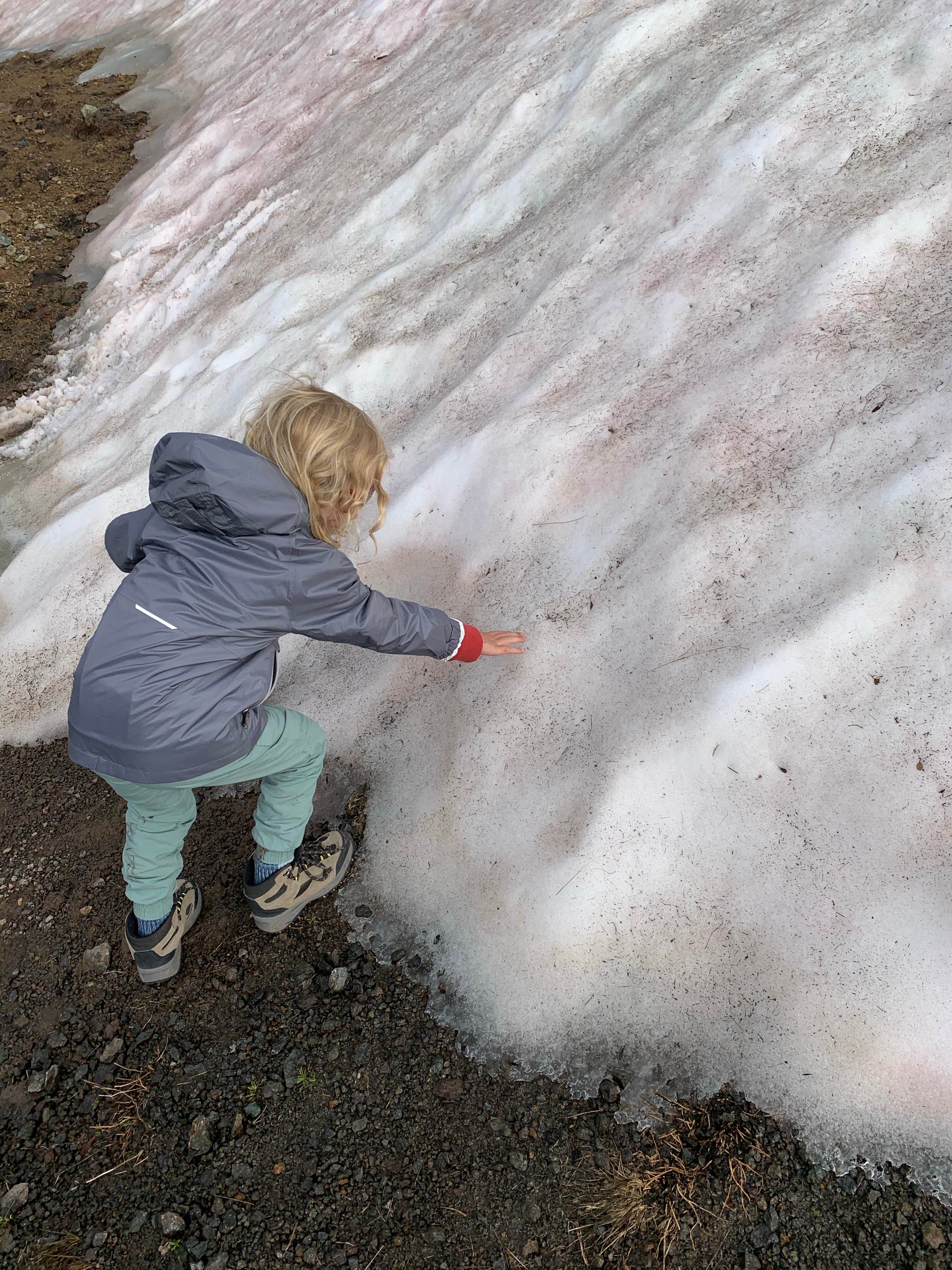Camper-submitted photo at Mountain Views RV Park near City of Creede, CO