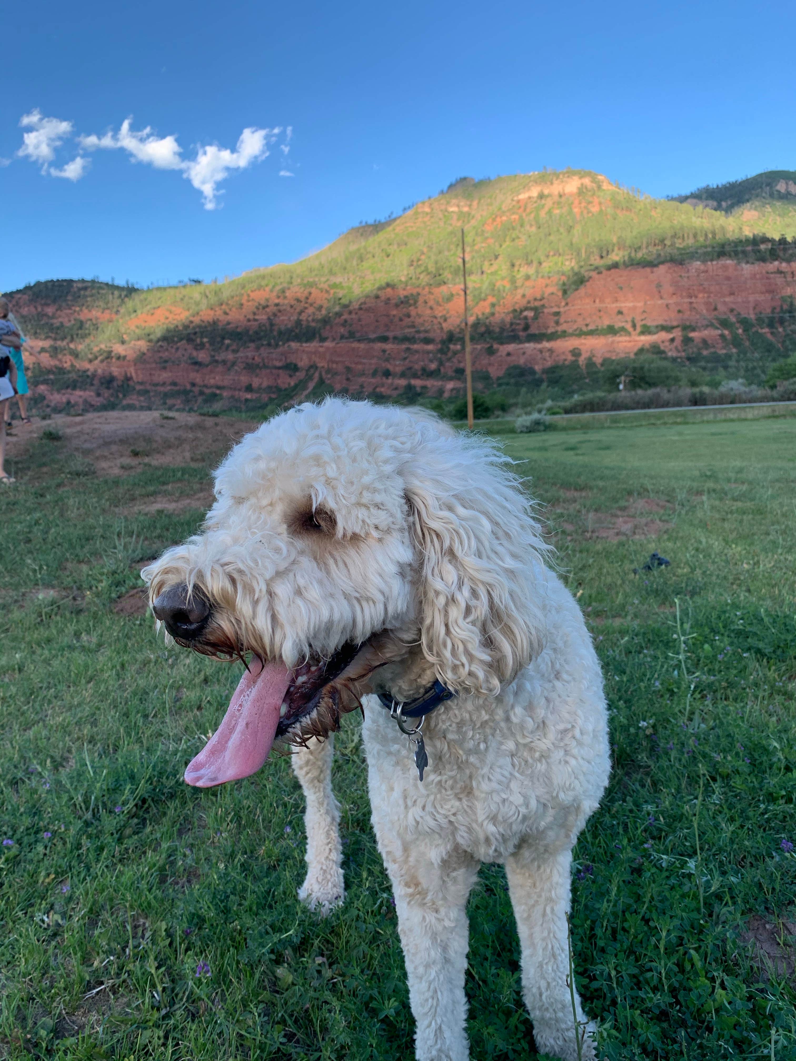 Camper-submitted photo at Alpen Rose RV Park near Arboles, CO