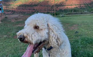Jared T.'s photo of camping with pets at Alpen Rose RV Park near San Juan National Forest