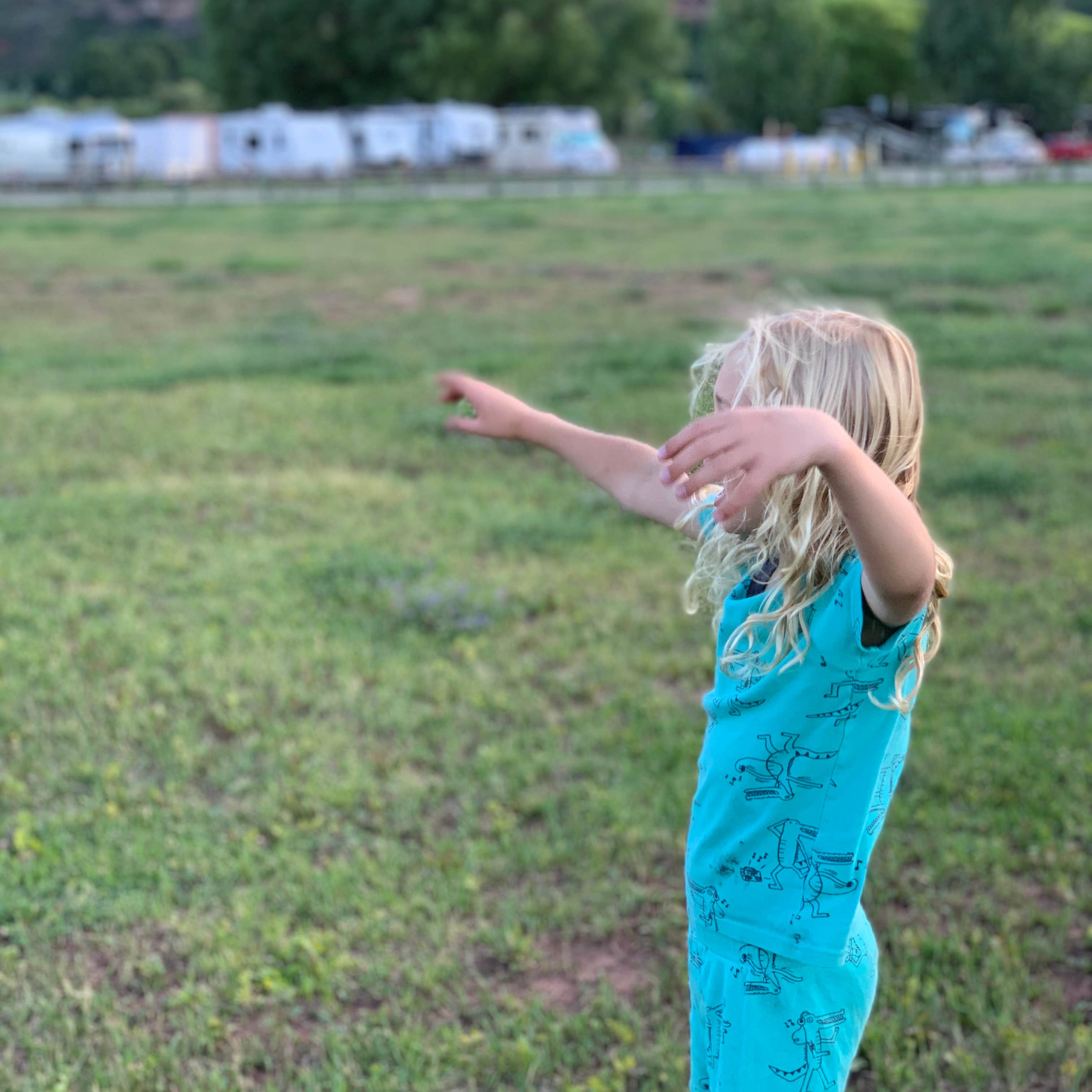 Alpen Rose RV Park Camping The Dyrt