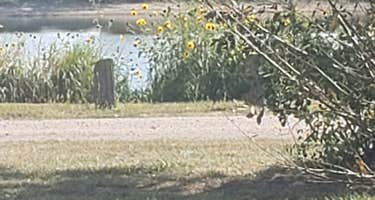 War Axe State Rec Area