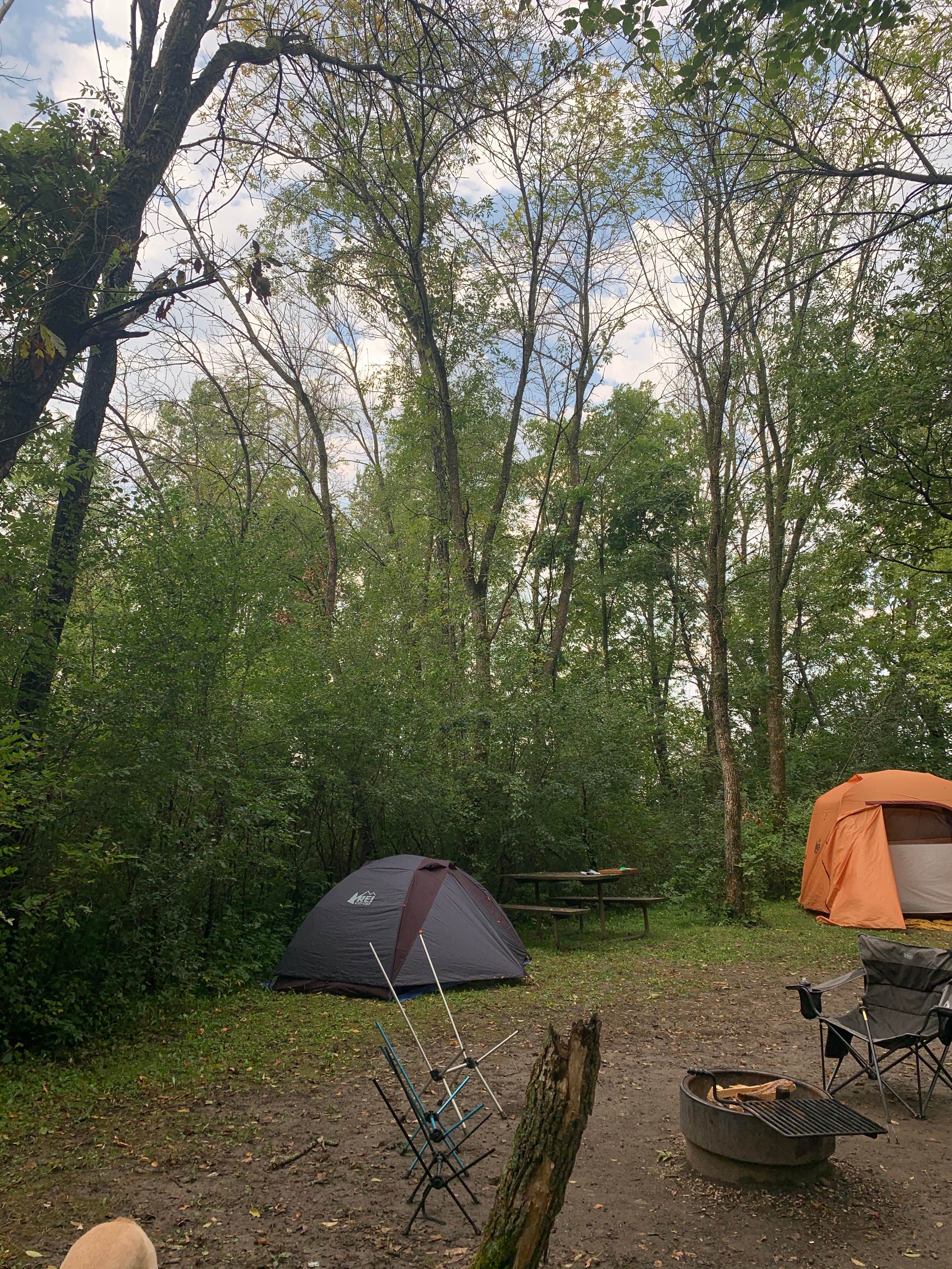 Camper-submitted photo at Carley State Park Campground near Alma, WI
