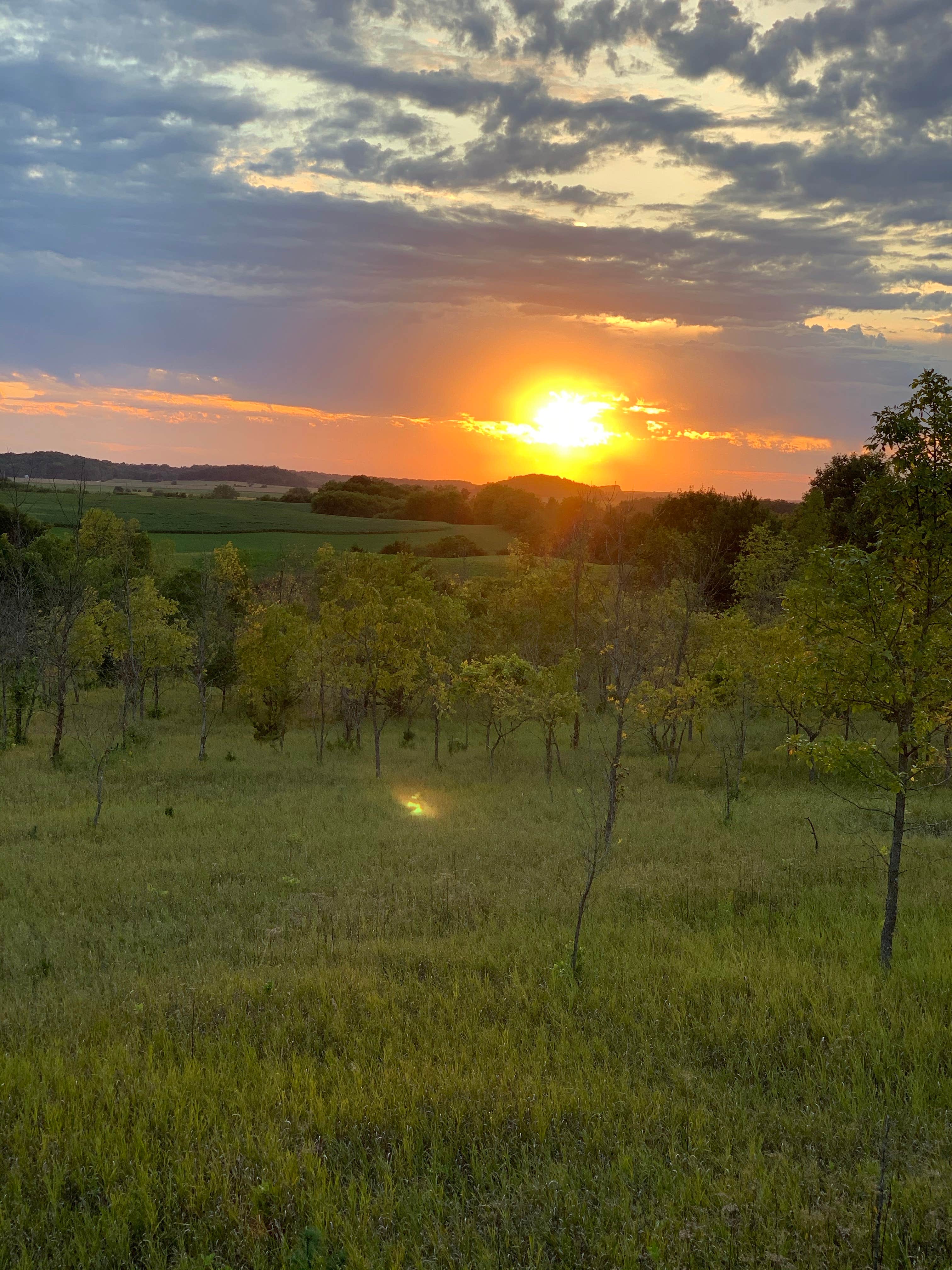 Camper submitted image from Carley State Park Campground - 2