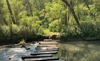 Camping near Cedar Hill Campground — Whitewater State Park: Carley State Park Campground, Plainview, Minnesota