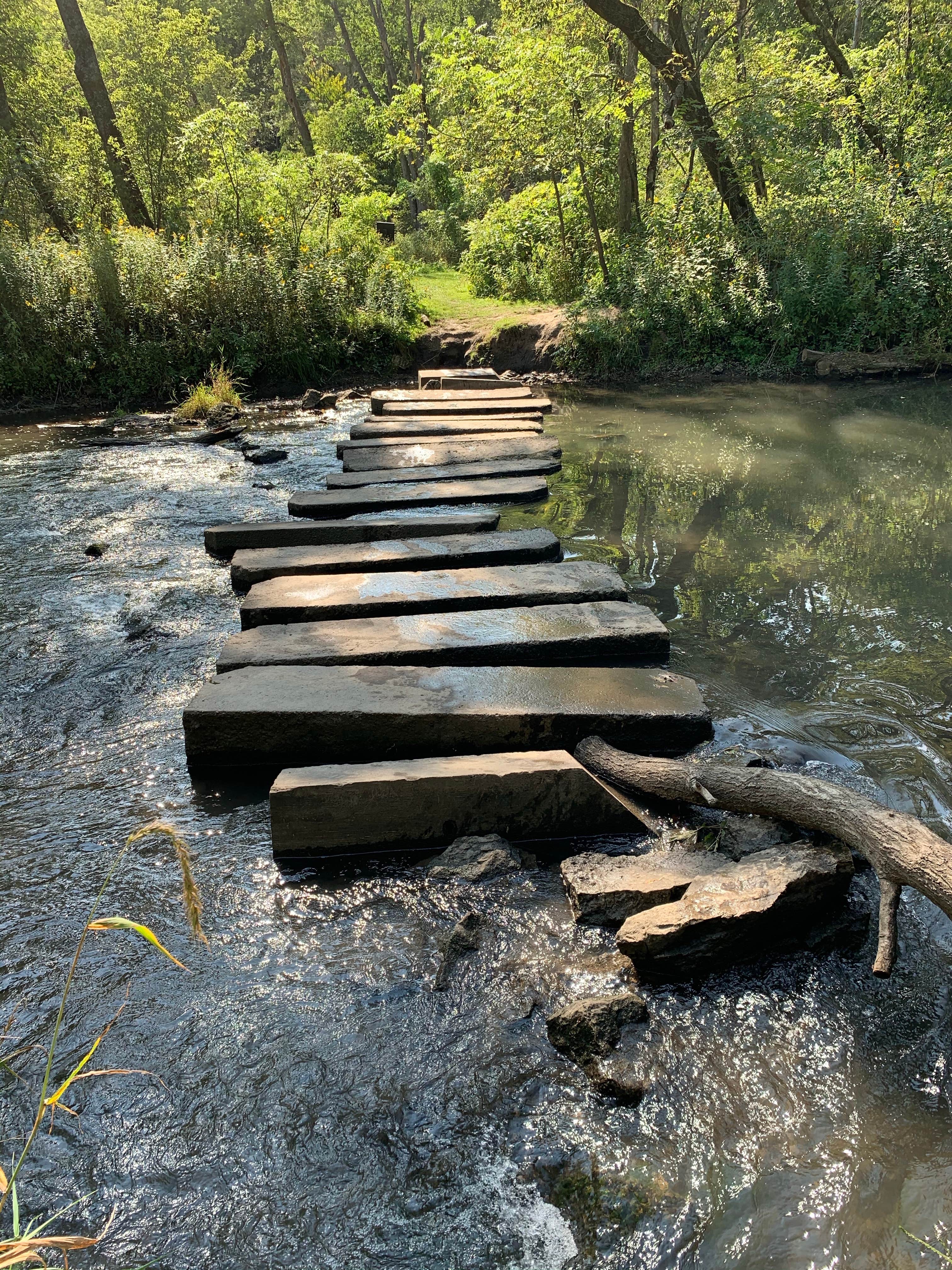 Camper submitted image from Carley State Park Campground - 1