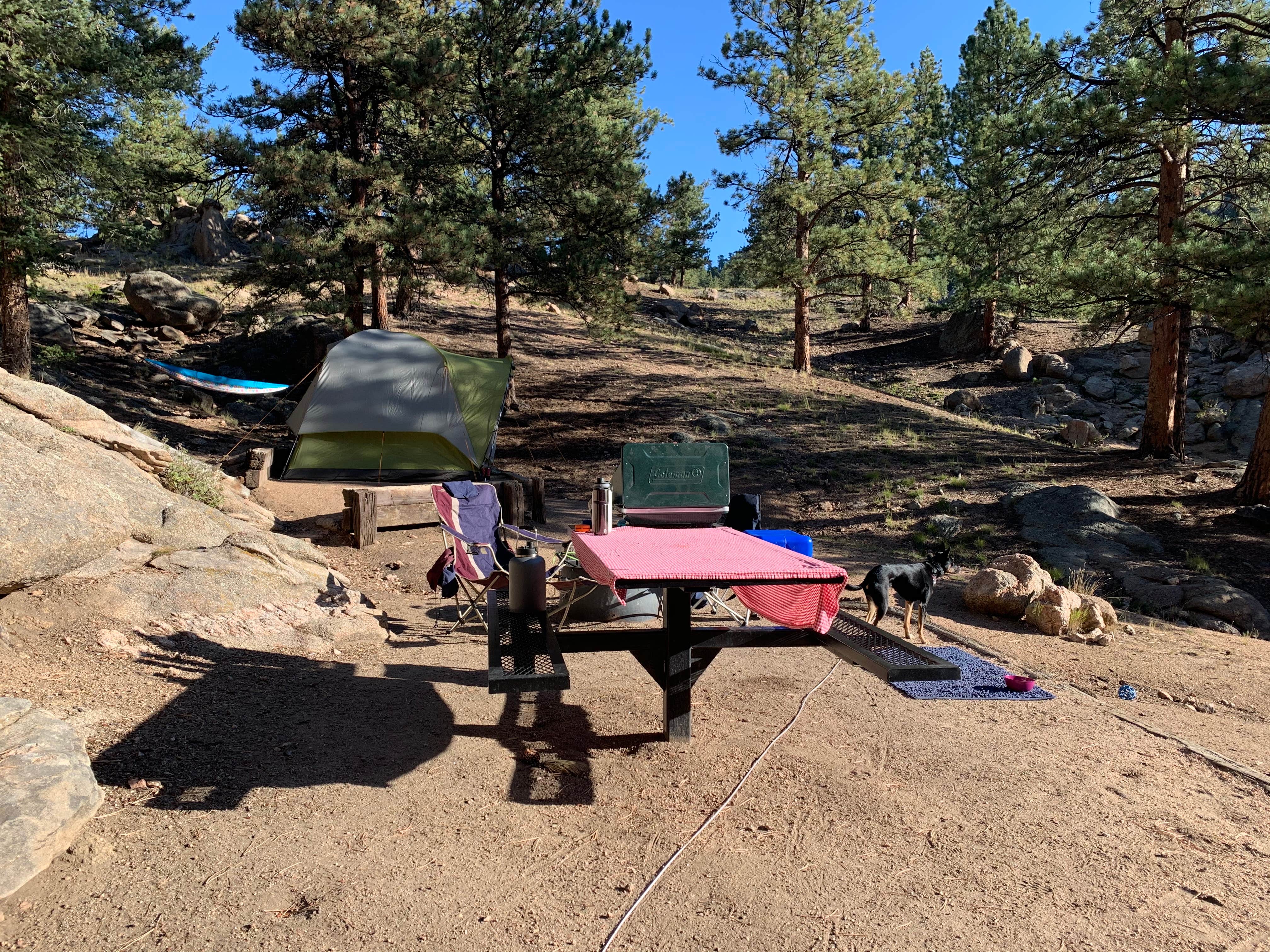 Dustin M.'s photo at Springer Gulch near Lake George, CO