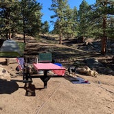 Review photo of Springer Gulch by Dustin M., September 7, 2020