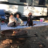 Review photo of Lake Powhatan Campground by Austin C., September 7, 2020