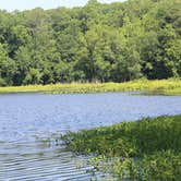 Review photo of Pocahontas State Park Campground by Casey S., September 7, 2020