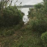 Review photo of Point Lookout State Park - Temporarily Closed by Casey S., September 7, 2020