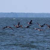 Review photo of Point Lookout State Park - Temporarily Closed by Casey S., September 7, 2020