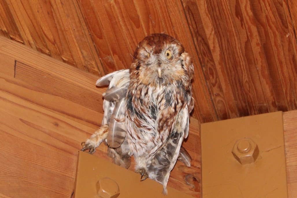 Camper-submitted photo at Point Lookout State Park - Temporarily Closed near Dowell, MD