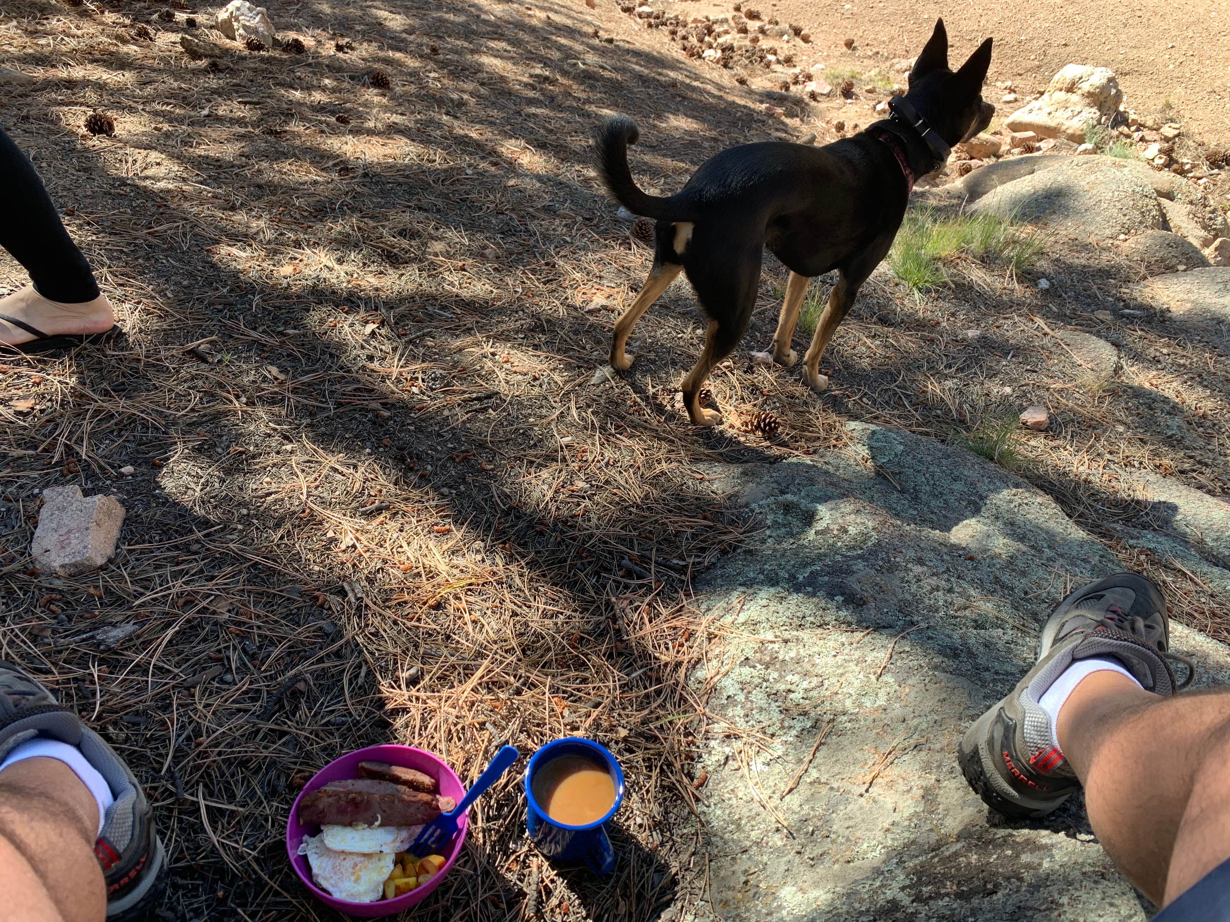 Dustin M.'s photo of camping with pets at Springer Gulch near Guffey, CO