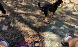 Dustin M.'s photo of camping with pets at Springer Gulch near Guffey, CO