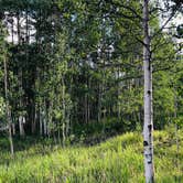 Review photo of Cottonwood Lake Campground by Erik S., September 7, 2020