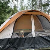 Review photo of Cottonwood Lake Campground by Erik S., September 7, 2020
