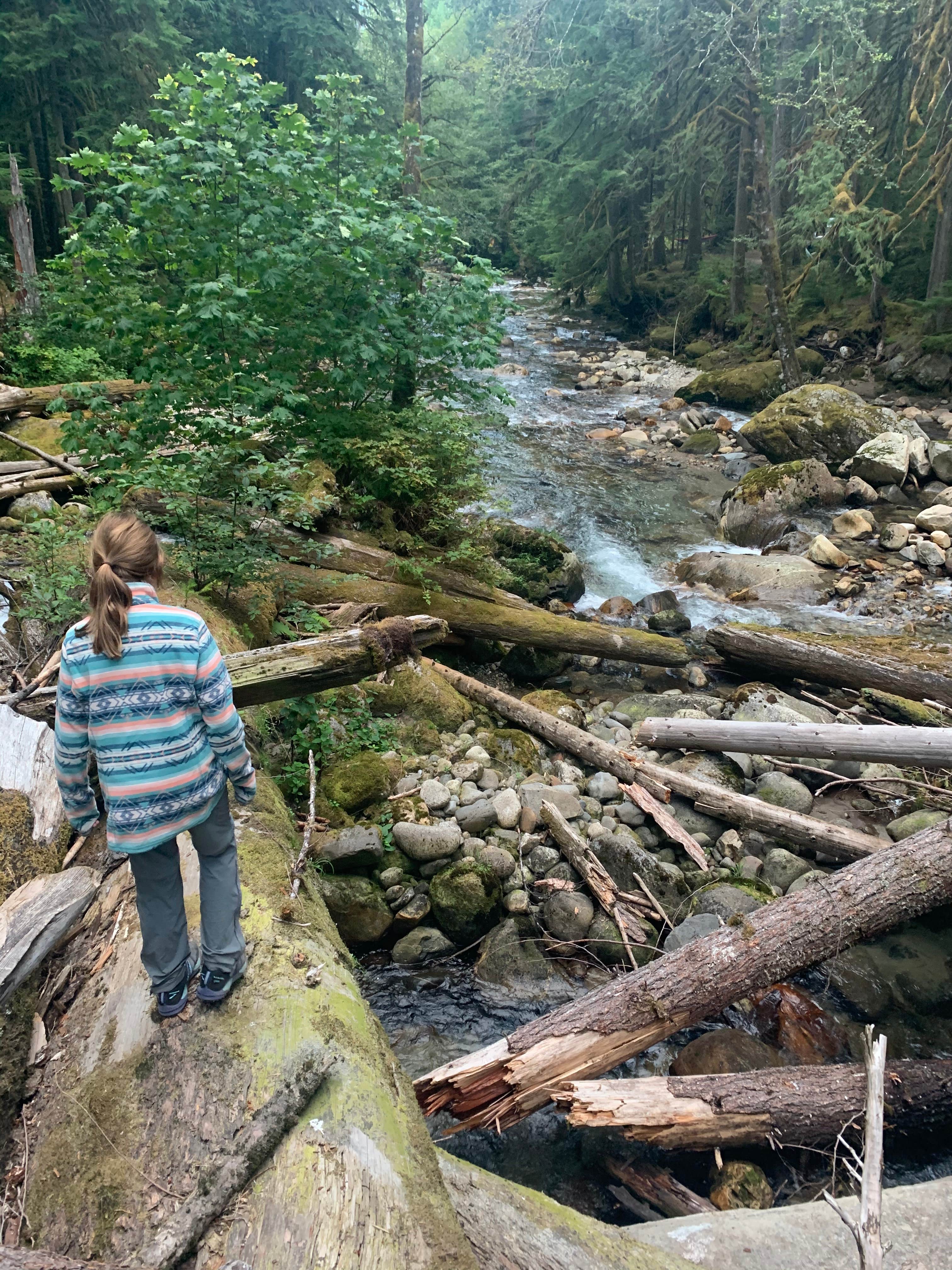 Camper-submitted photo at Buck Creek Campground near Darrington, WA