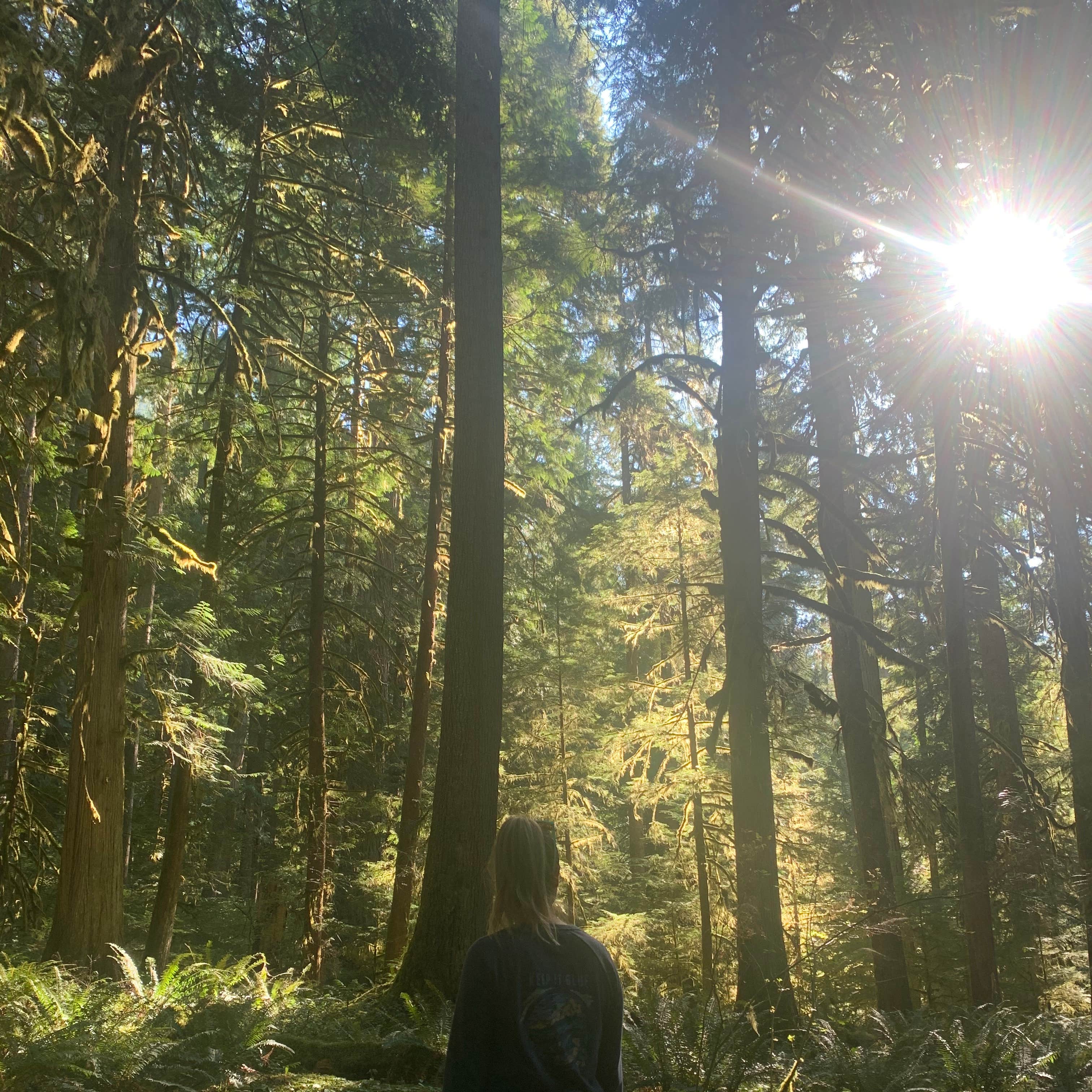 Buck Creek Campground Camping The Dyrt