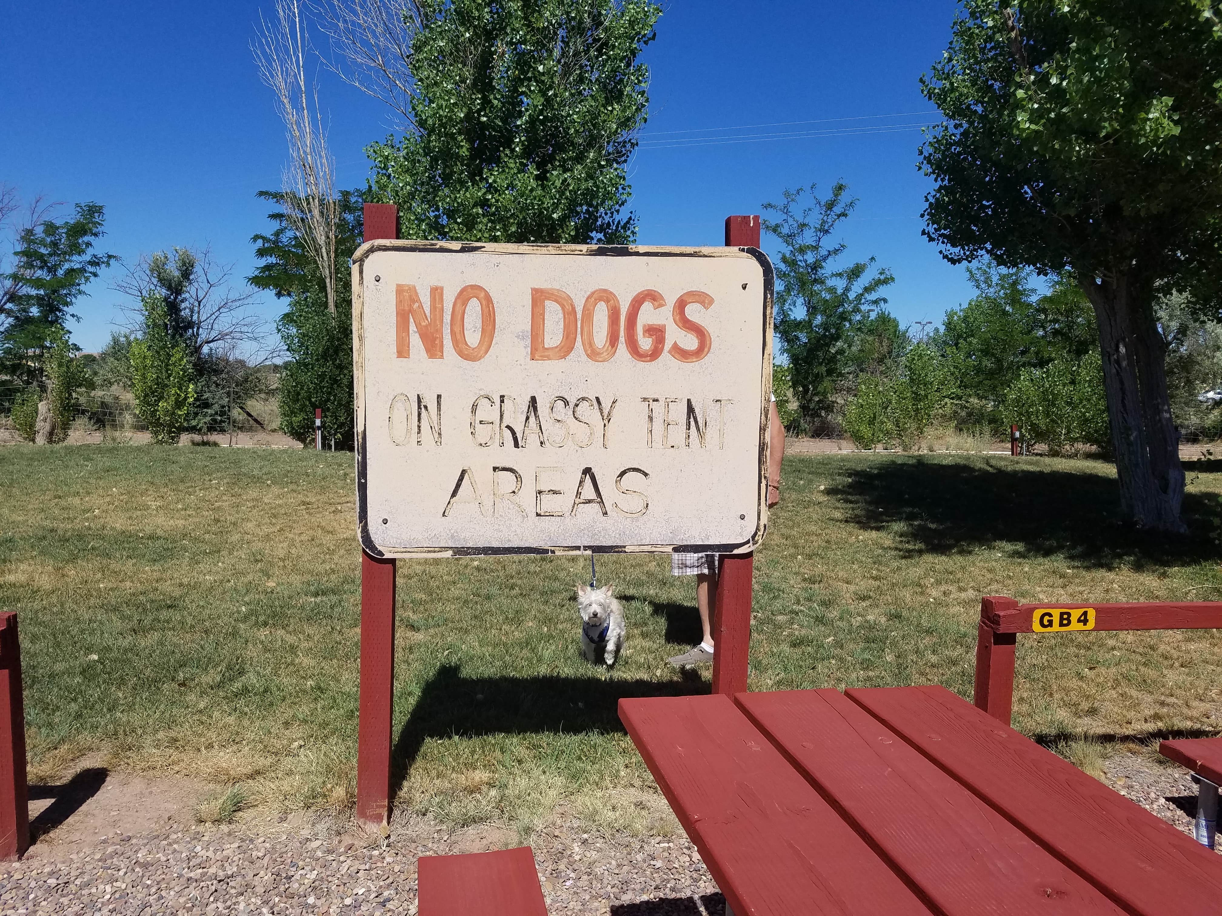 Camping near Dreamcatcher RV Park: Holbrook/Petrified Forest KOA, Holbrook, Arizona